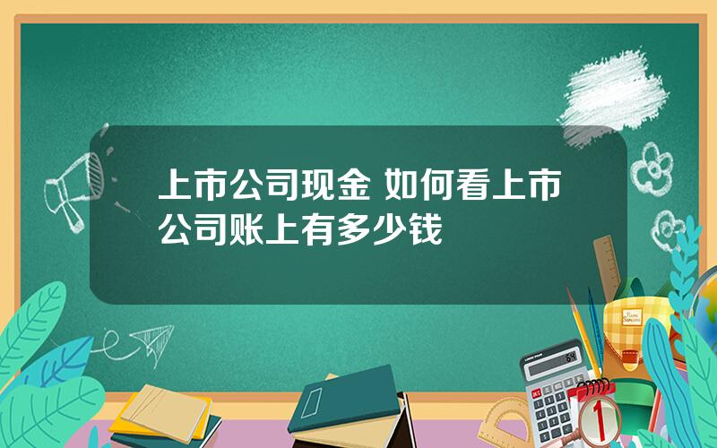 上市公司现金 如何看上市公司账上有多少钱